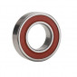 NTN Bearings 6005