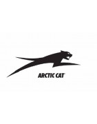 Arctic Cat